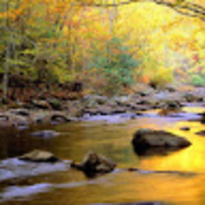 Meet your Posher, Kendall